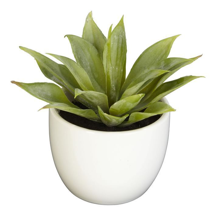 Faux Potted Southwest Plants Set of 3 — view 1